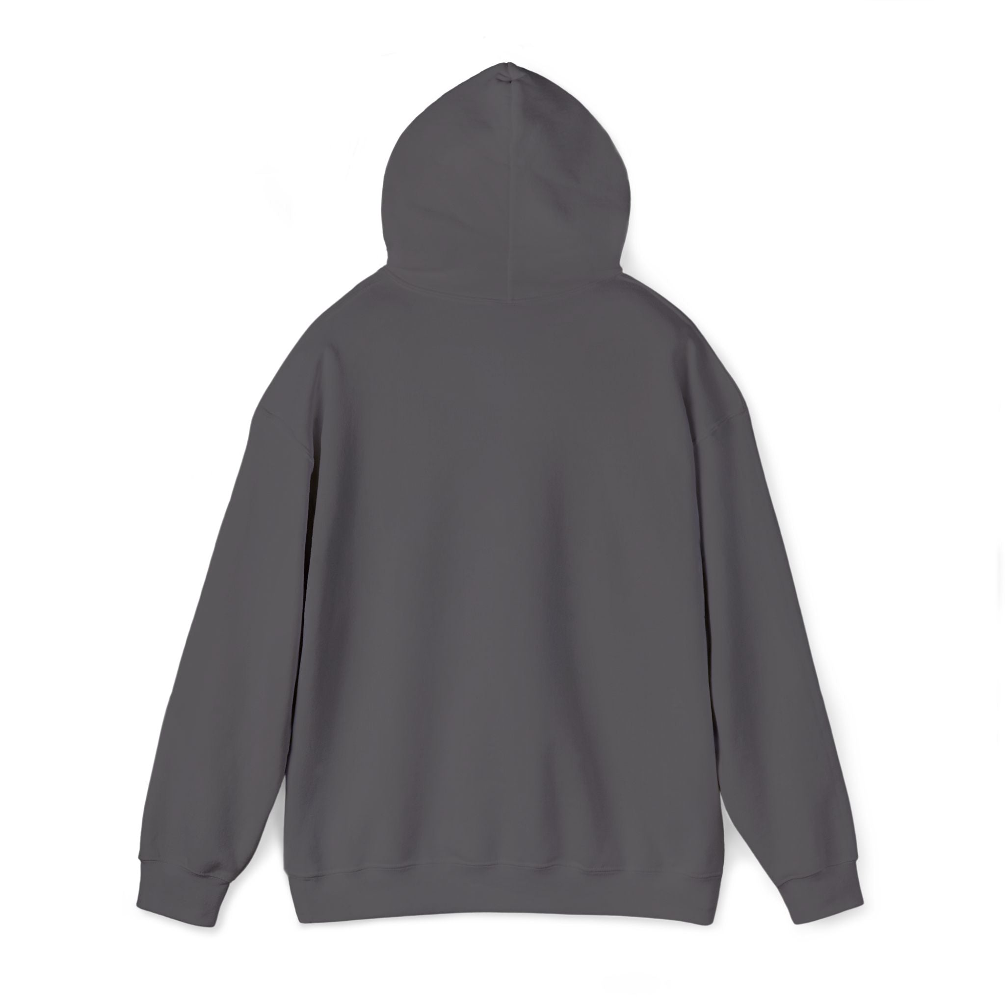 We Make Footballers Hoodie – Embroidered