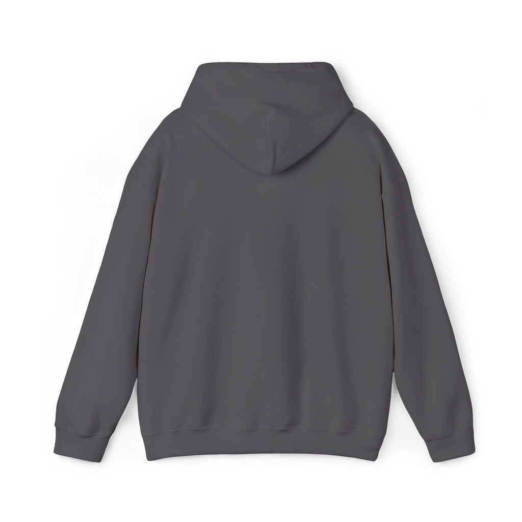 We Make Footballers Hoodie – Embroidered